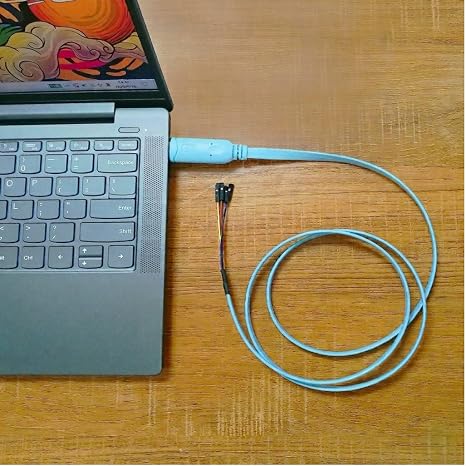 DSD TECH SH-U09BL USB to TTL Serial Cable with CP2102N Chip 1.2M/4FT
