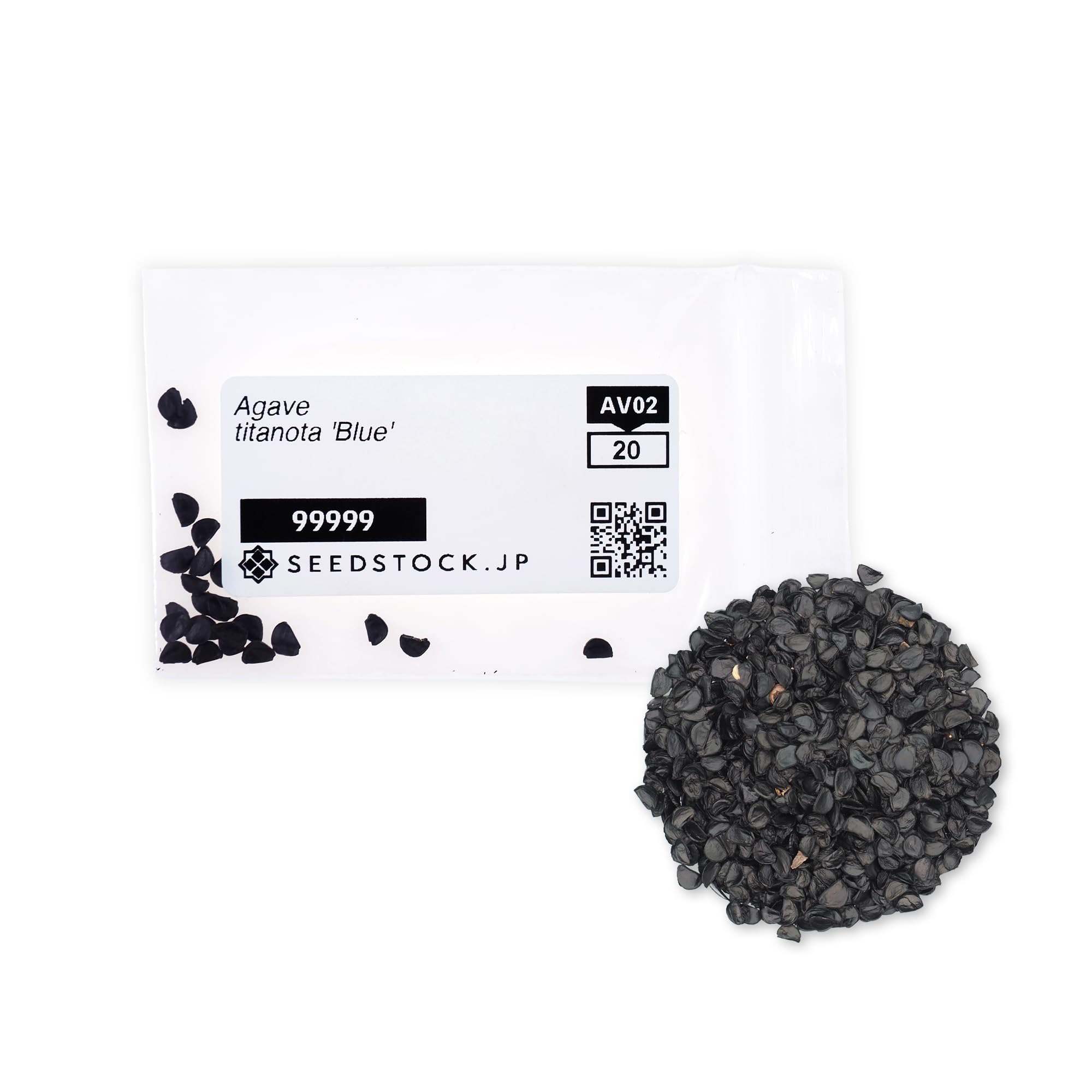 Amazon.co.jp: SEEDSTOCK アガベ チタノタブルー 種 100粒売り 初心者