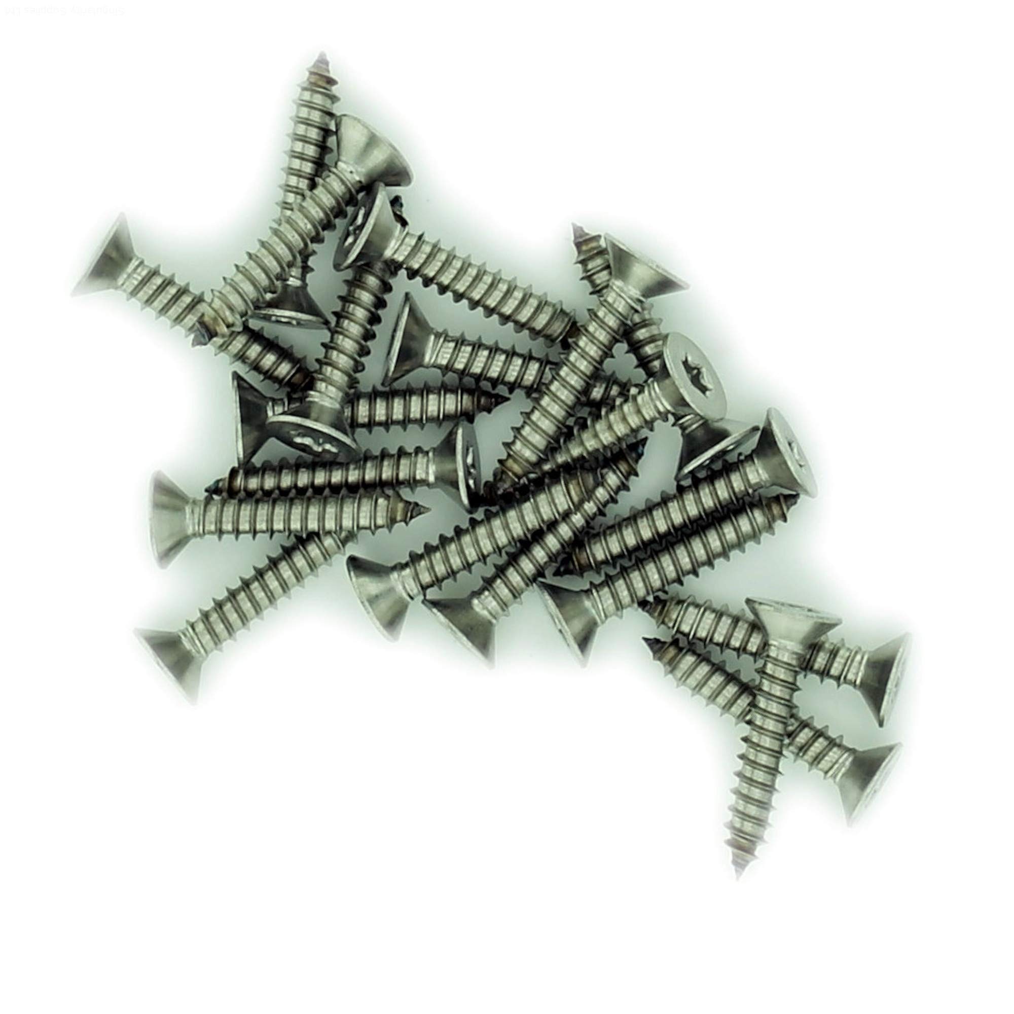 Singularity Supplies Silver No.8 X 0.375 (4.2Mm X 9.5Mm) Tx Countersunk Self-Tapping Screw - Stainless Steel (A2) (Pack Of 20)