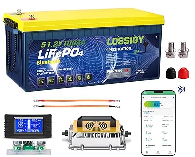 LOSSIGY 48V Lithium Battery Golf Cart, With 18A Charger & LCD Mobile Monitor,100Ah LiFePO4 battery with 200A BMS,10.24kW Output, 1000A Peak Current,Prefect for Golf Carts,RV Solar System