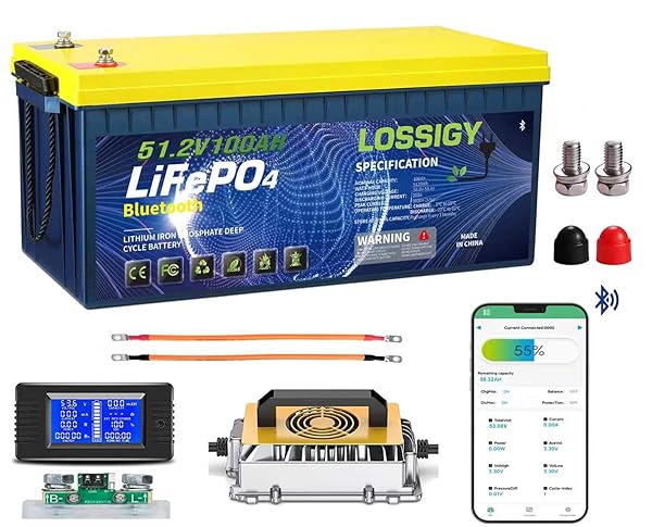 LOSSIGY 48V Lithium Battery Golf Cart, With 18A Charger & LCD Mobile Monitor,100Ah LiFePO4 battery with 200A BMS,10.24kW Output, 1000A Peak Current,Prefect for Golf Carts,RV Solar System