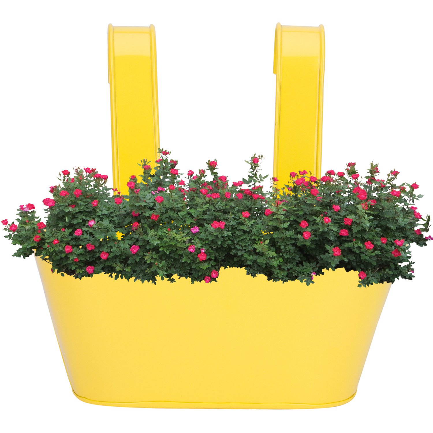 The Art House Metal Oval Railing Planter (10 inch) Railing Planter