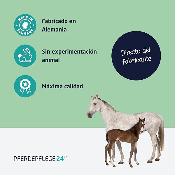 PFERDEPFLEGE24 Spray Repelente Moscas para Caballos con DEET - Protección Instantánea y Duradera contra Insectos - Fórmula Concentrada y Efectiva 1000ml - 4