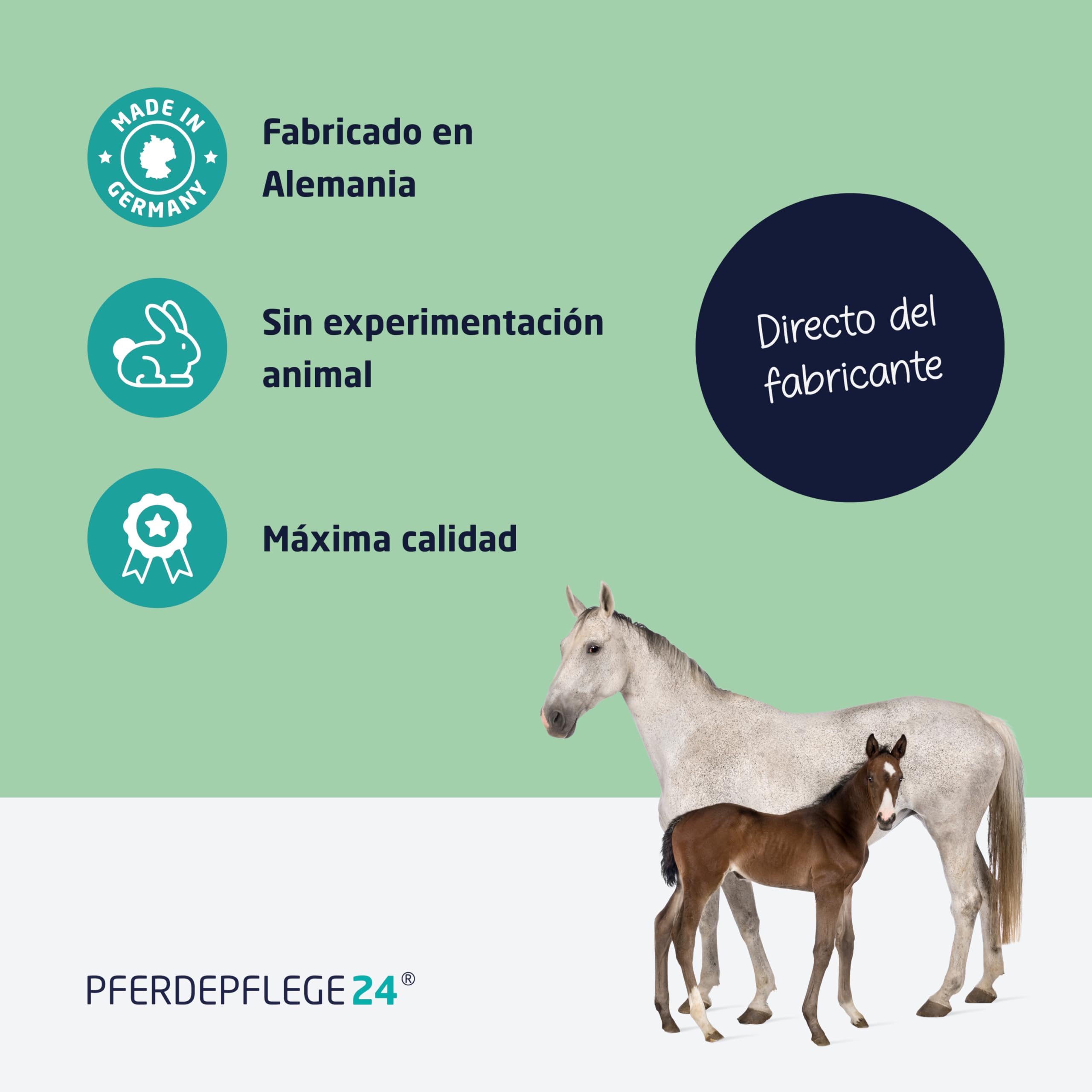 PFERDEPFLEGE24 Spray Repelente Moscas para Caballos con DEET 1000ml