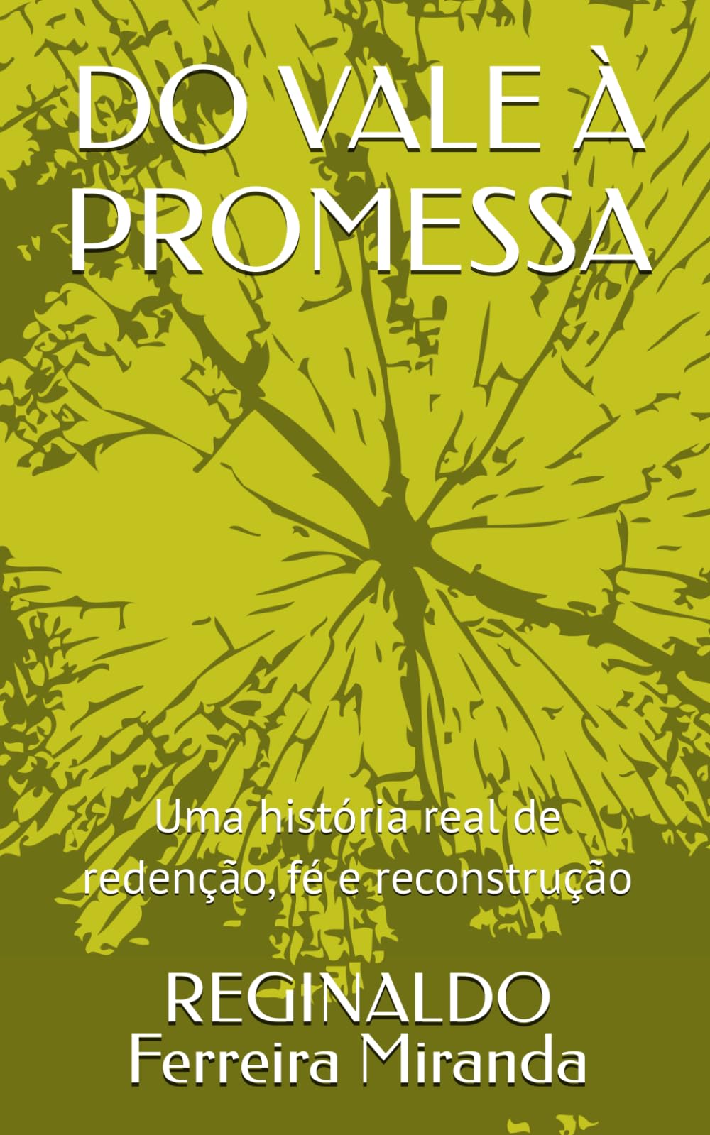 DO VALE À PROMESSA: Uma história real de redenção, fé e reconstrução