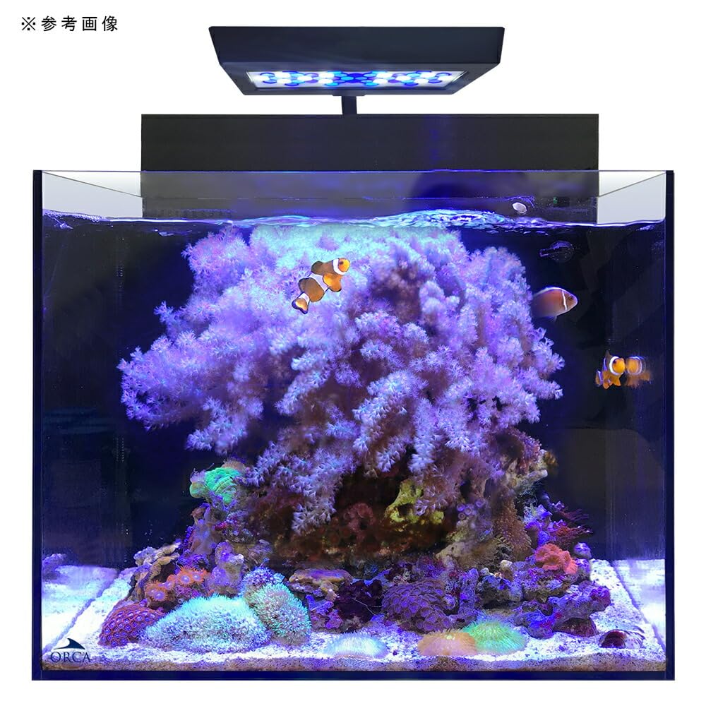 Amazon | □SHELL2 シェル オールインワンシステムタンク 水槽 