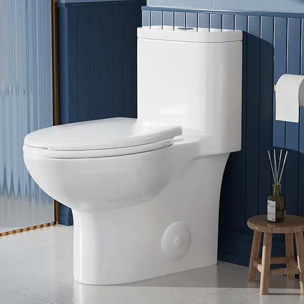 AKNIRL Elongated One Piece Toilet with Comfort Height Seat Chair Height 17" Modern Toilet for Bathroom, Dual Flush 1.1/1.6 GPF, MAP 1000g, Soft Closing Seat, 12" Rough-In, OT-001