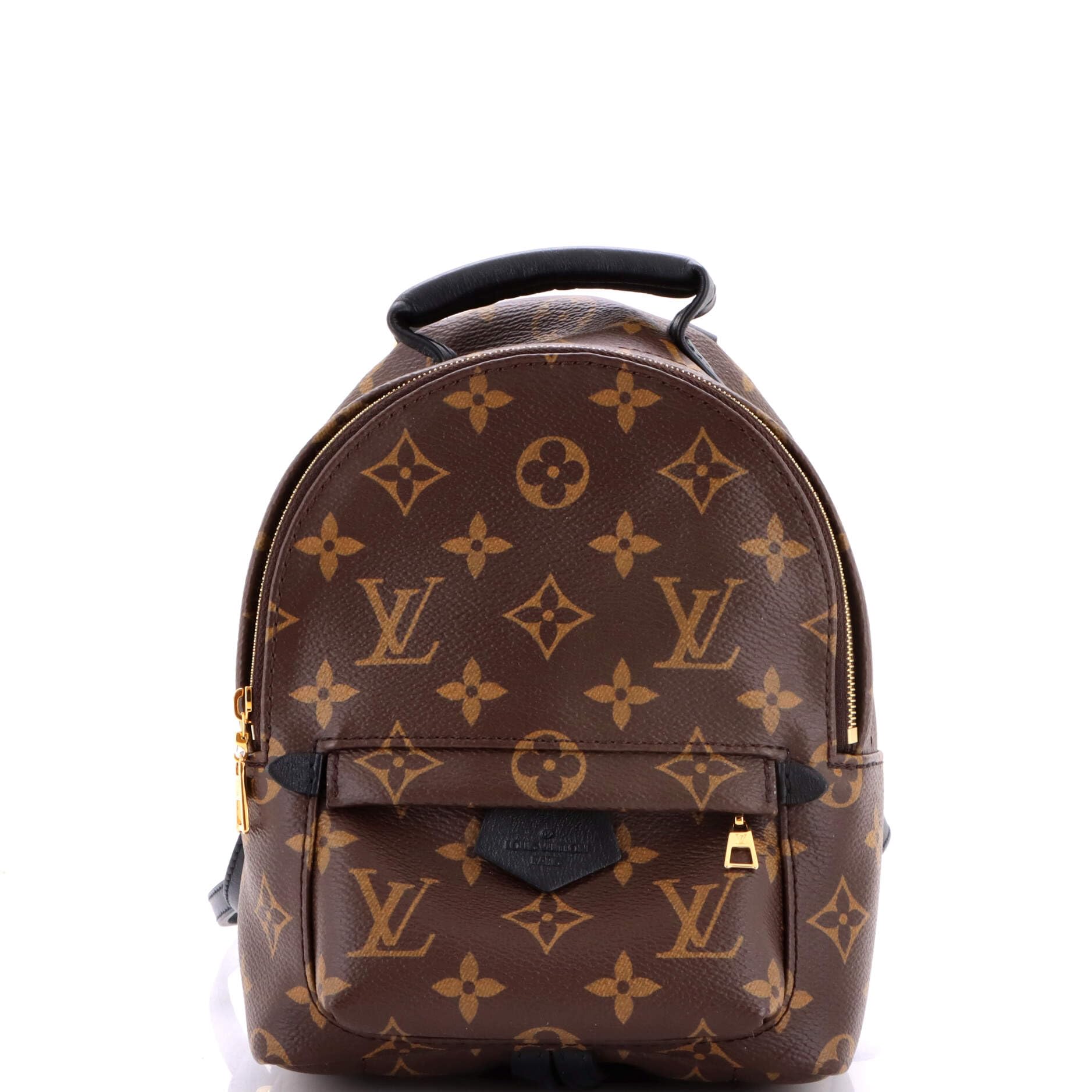Pre-Loved Palm Springs Backpack Monogram Canvas Mini, Brown