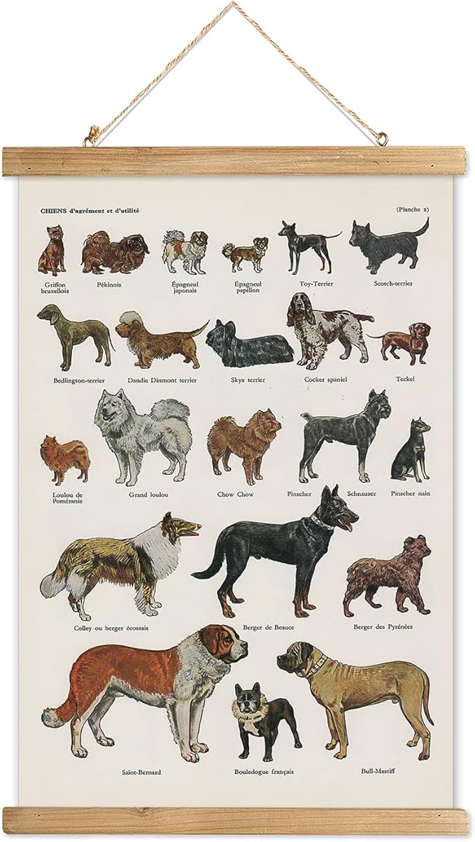 The Last Of Us 2 Hasn't Yet Revealed All Its Secrets, As This Stunning Discovery Proves 8 71BFiHVo8fL. AC SX679 XIAOAIKA Classic Dog Breeds Illustrated Poster - Vintage Canine Varieties Wall Art with Wooden Hanger - Educational and Decorative Print for Pet Lovers and Breeders 16 x 23 Inches