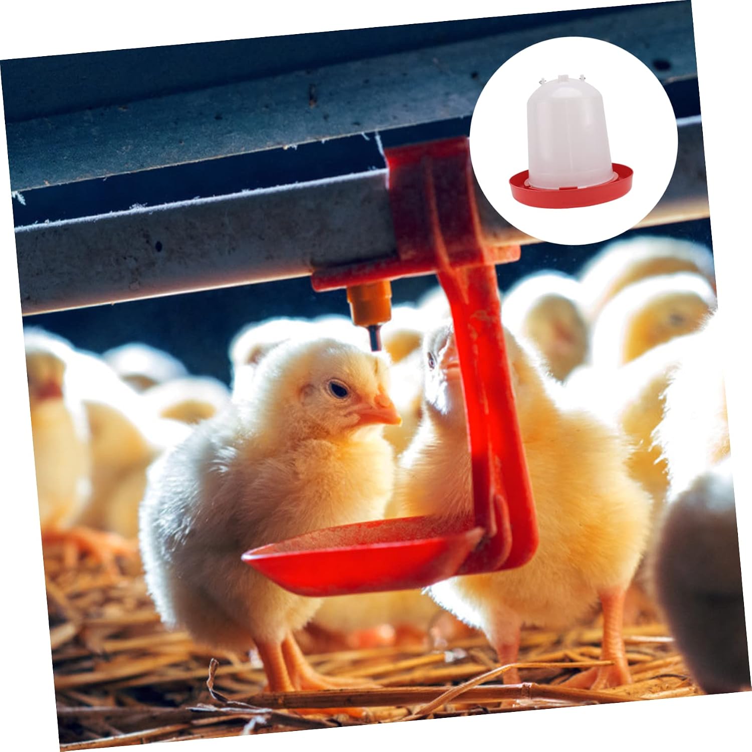 1Set Durable Chicken Feeding Container Automatic Poultry Waterer for Farm Use Easy to Clean Refill Capacity Made of Material Suitable for Multiple Chickens image 5