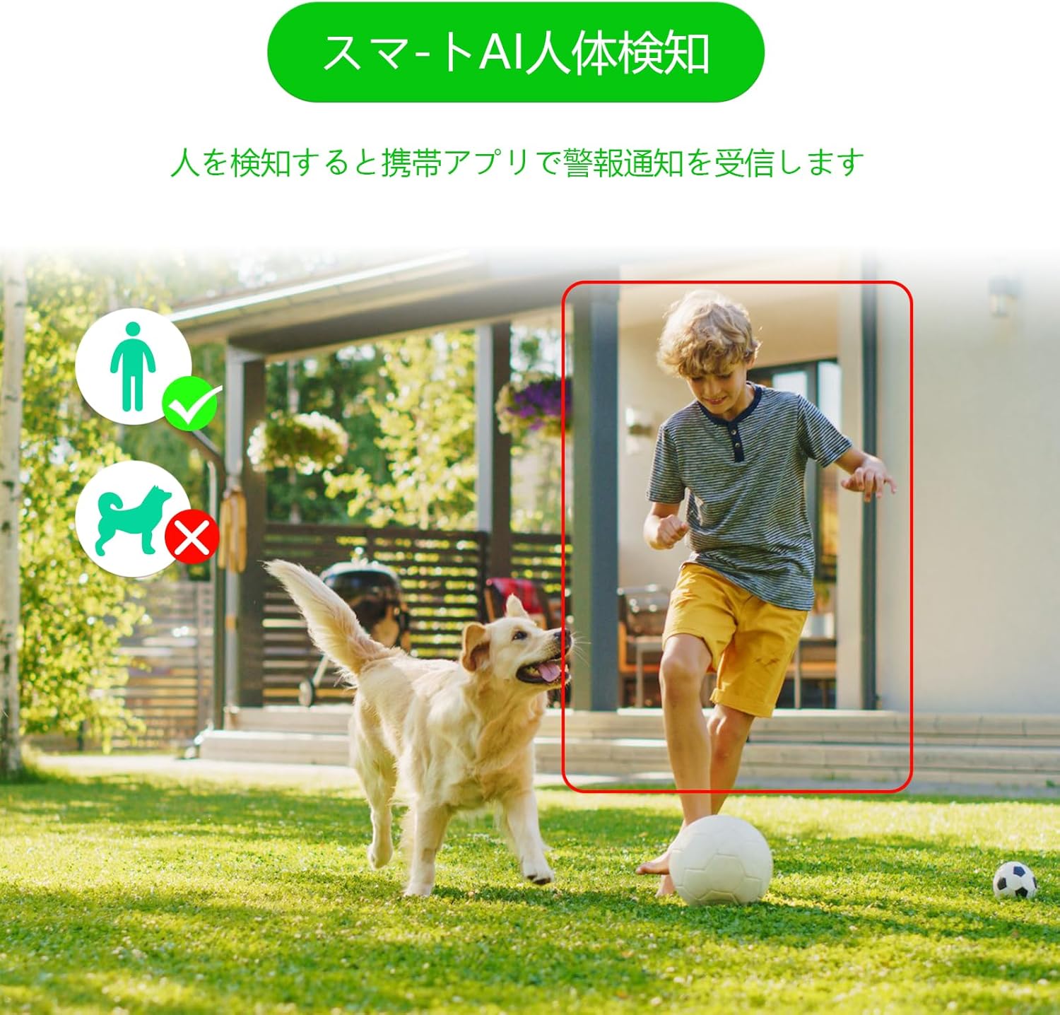 AI human detection distinguishing humans from pets