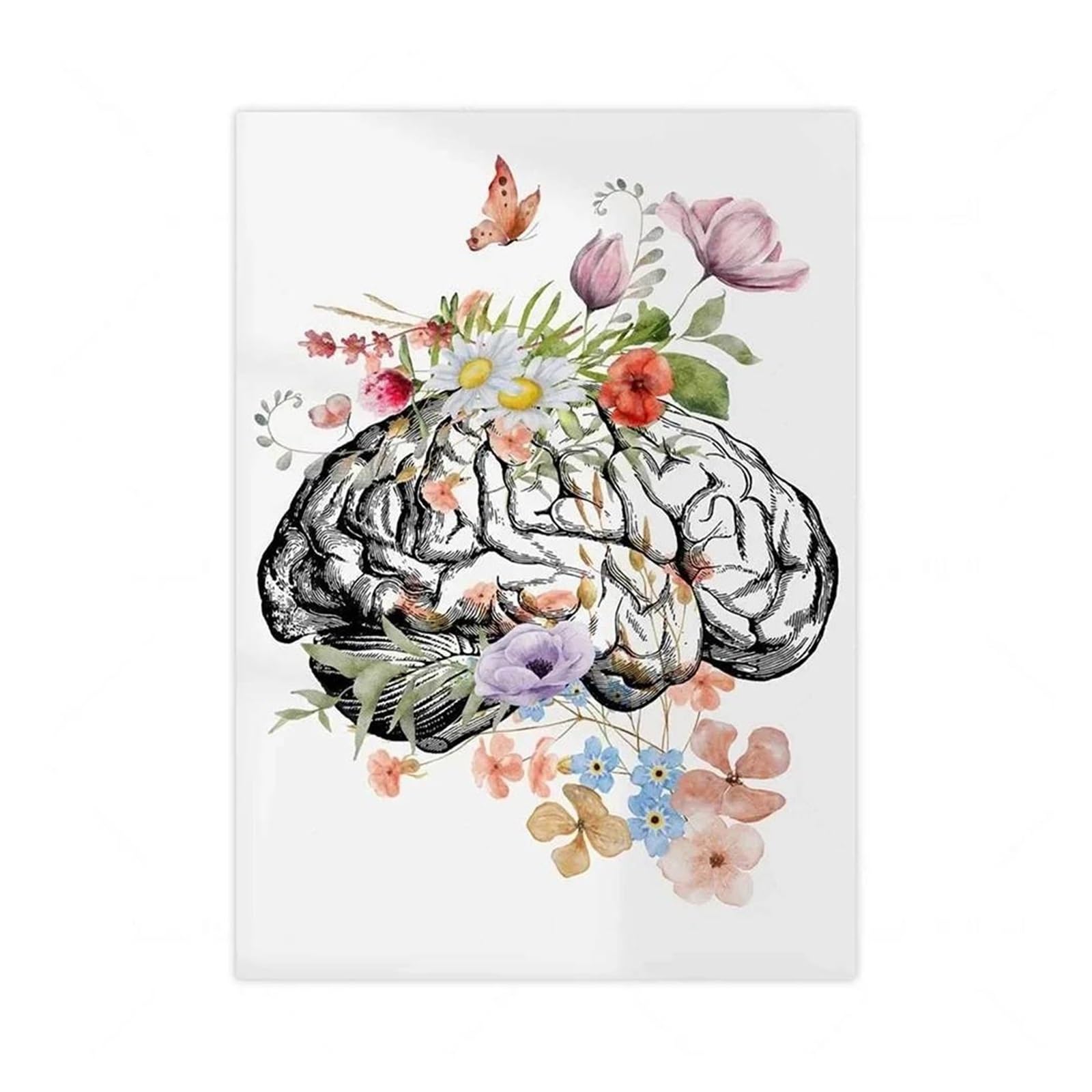 Affiche anatomie cœur et poumons pour décoration de cabinet médical