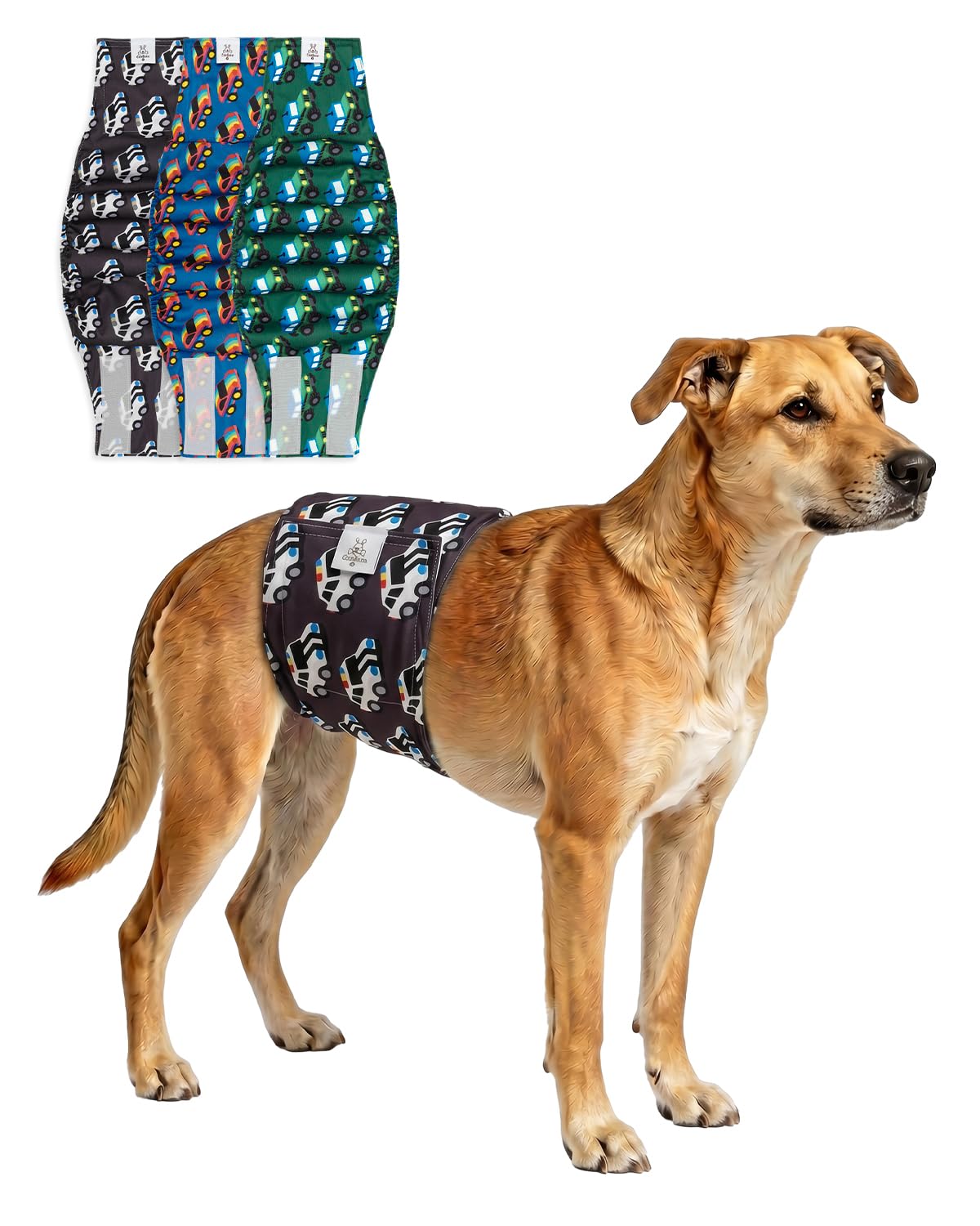 Couches réutilisables chien mâle CuteBone pour voyager serein
