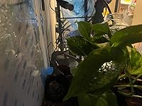 Review Image by Nicole Nicole