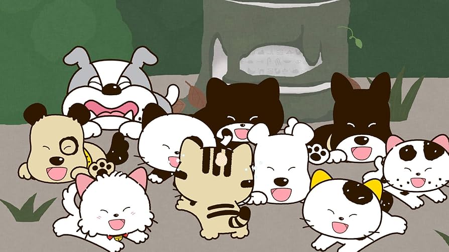 タマ＆フレンズ　DVD Amazon.co.jp: タマ&フレンズ~タマとふしぎな石像~ [DVD] : 笠原