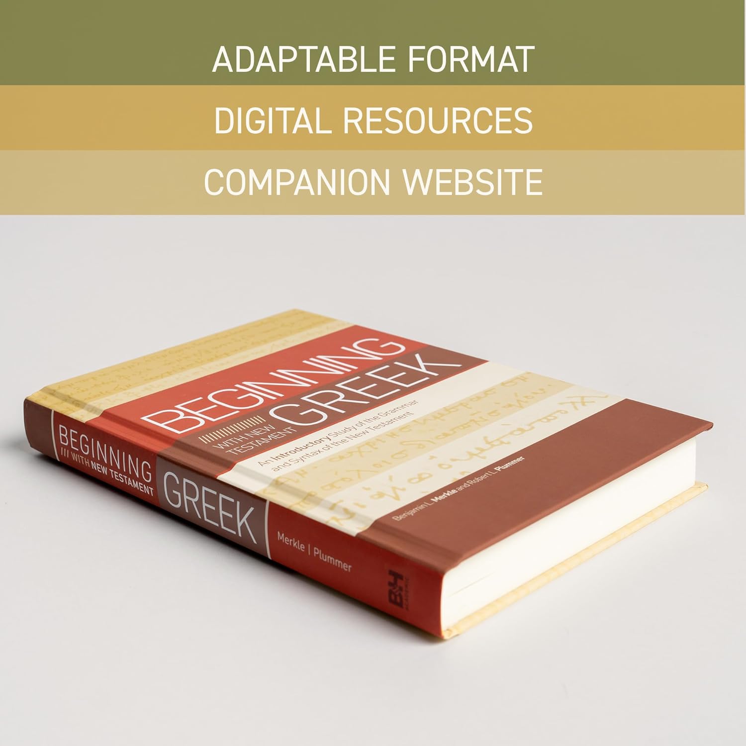 Beginning with New Testament Greek: An Introductory Study of the Grammar and Syntax of the New Testament - Image 8