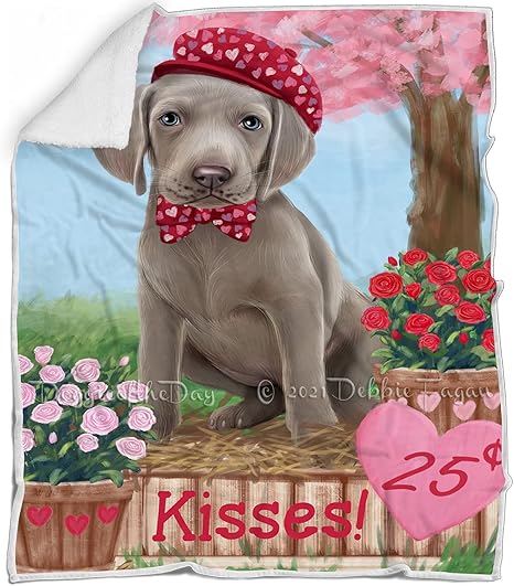 Weimaraner blanket Outlet