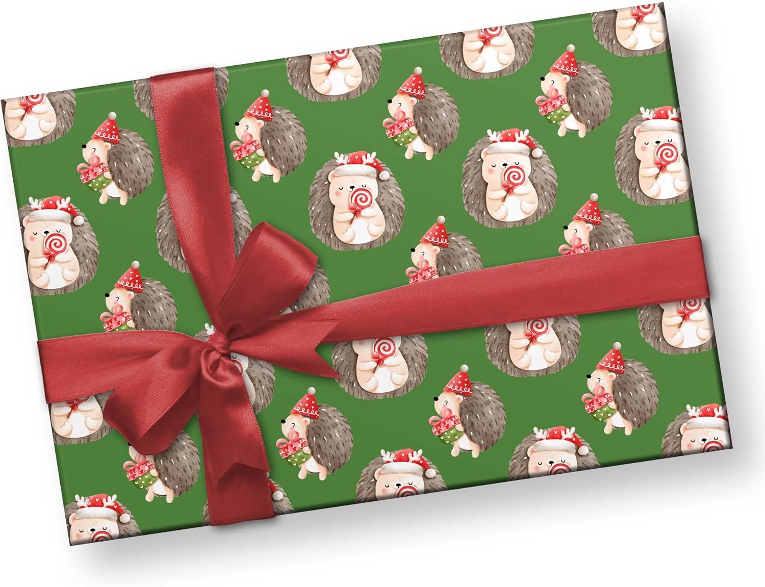 Cute Watercolor Hedgehog Gift Wrap Christmas Thick Wrapping Paper Holiday Party Decor (12 foot x 30 inch roll)