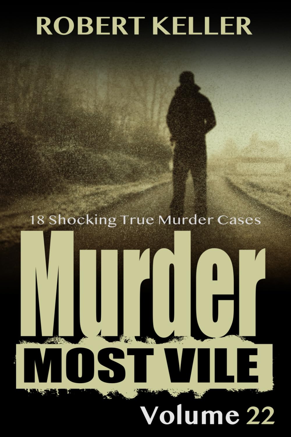 Murder Most Vile Volume 22: 18 Shocking True Crime Murder Cases