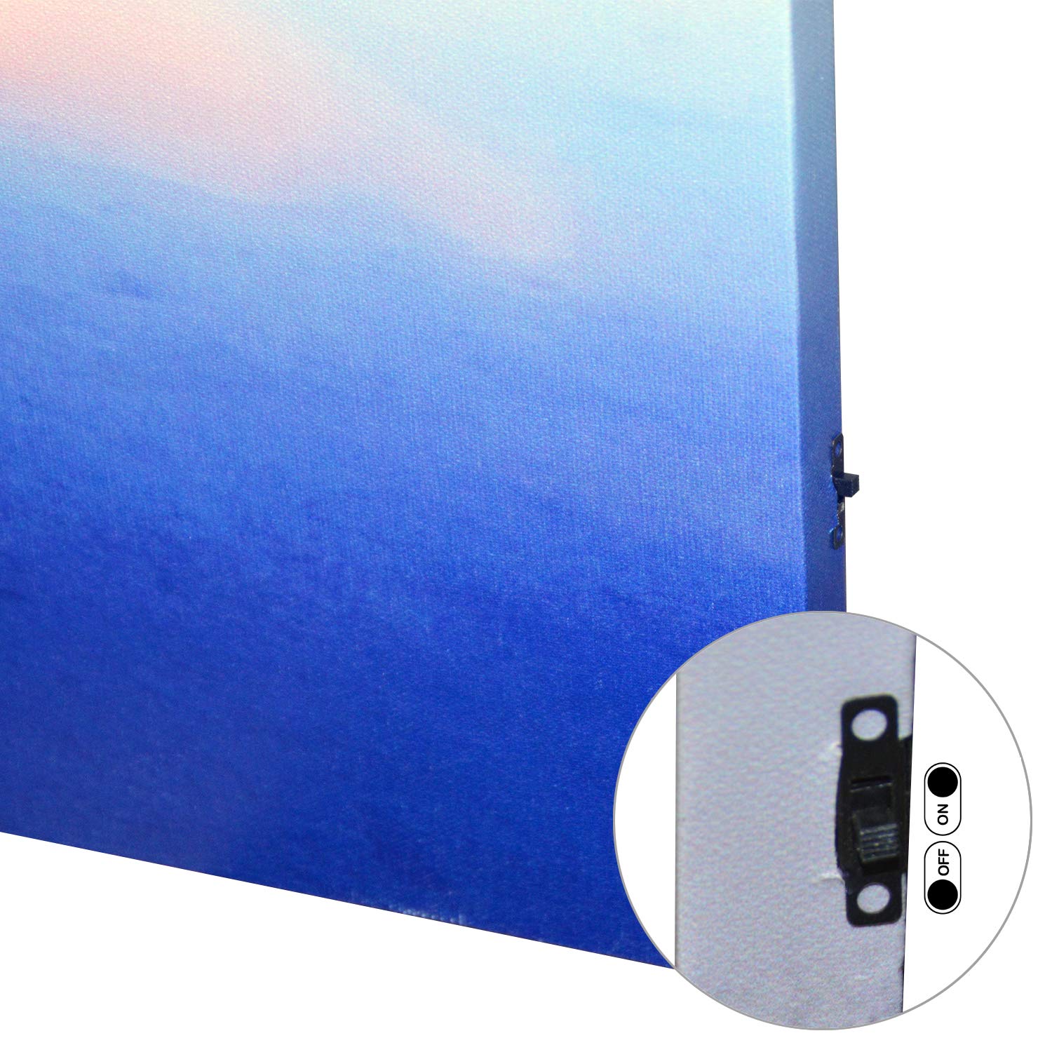 DRULINE LED Quadro su Tela Immagine Tela Illuminazione Funziona a Batteria Fotografia Indoor - barretta