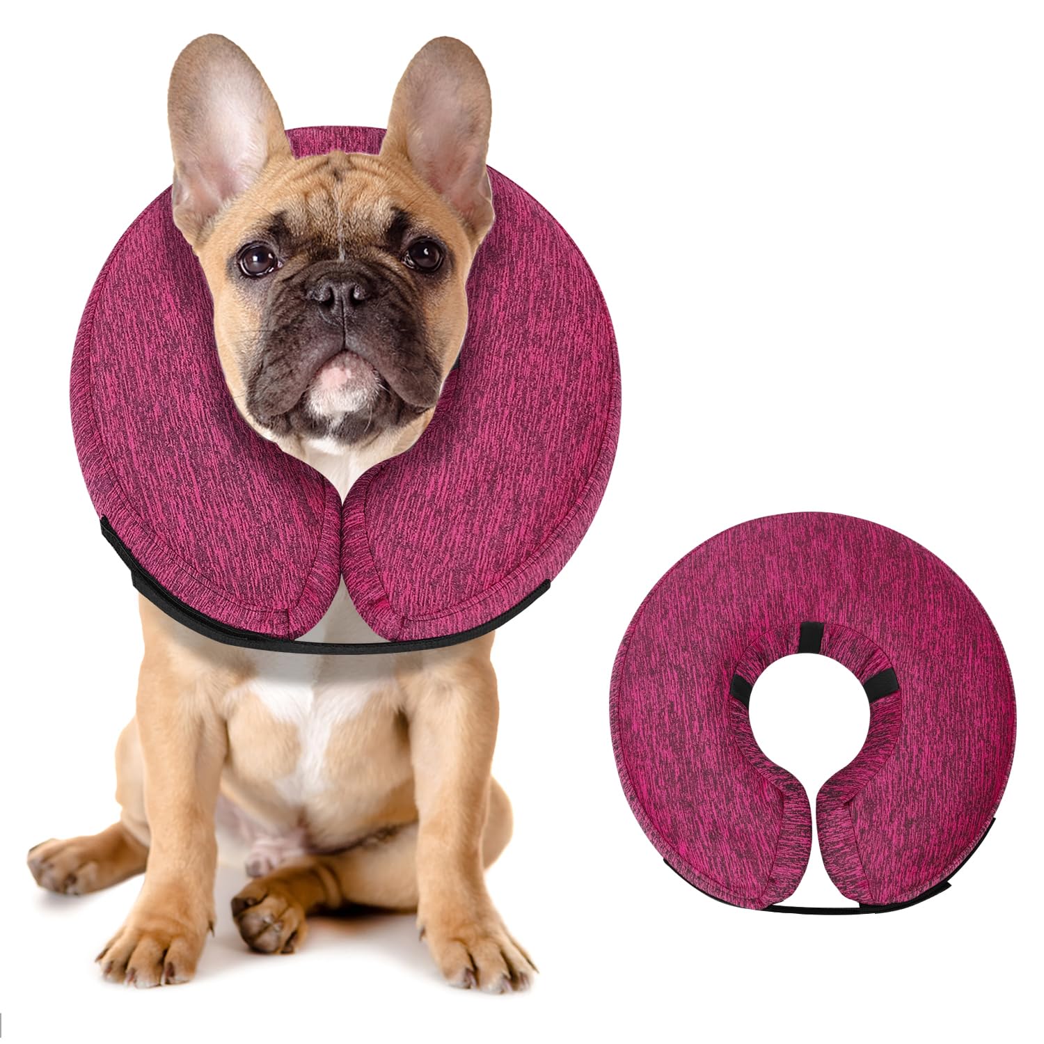 Photo 1 of MIDOG Inflatable Dog Cone Recovery Collar, Rose, Medium