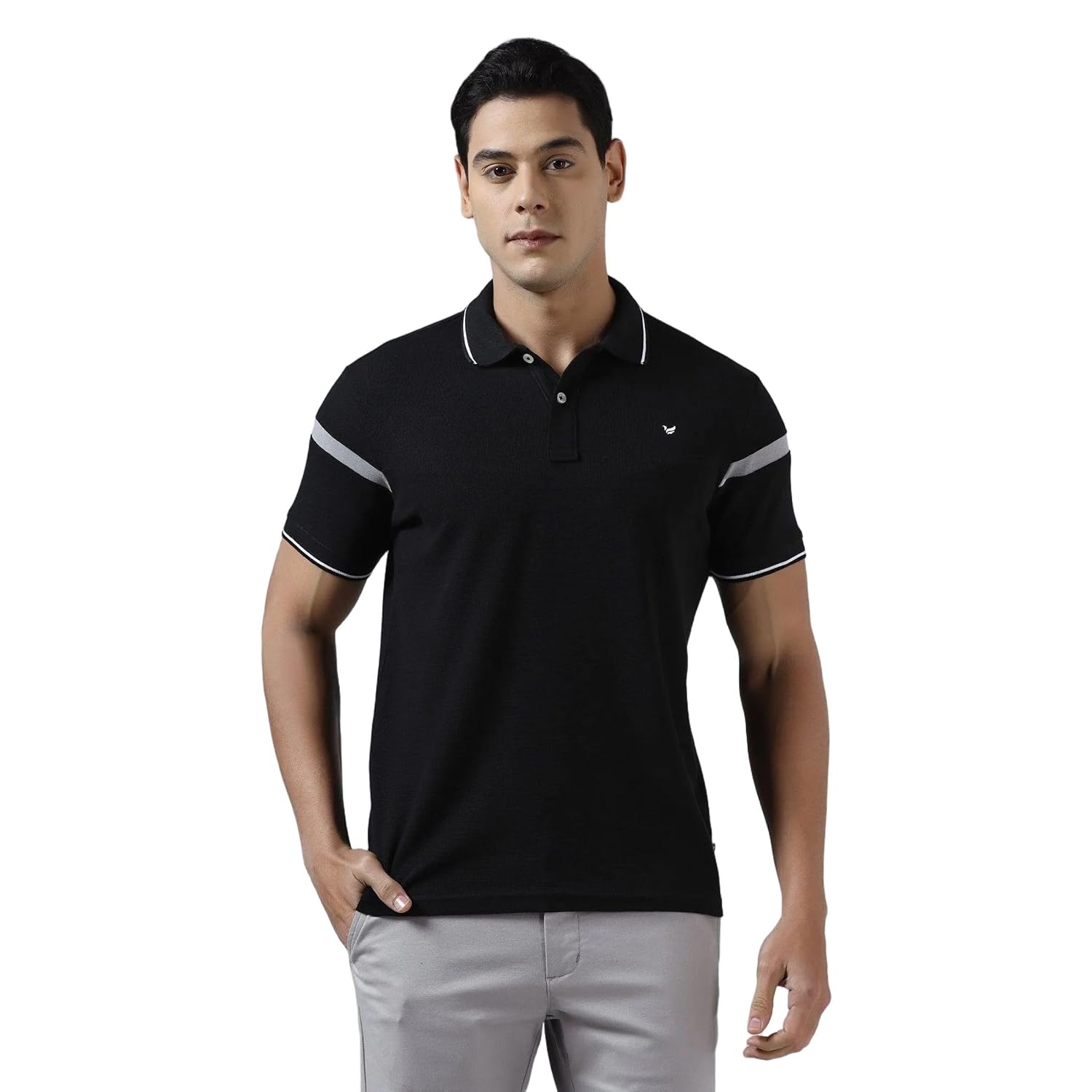 Blackberrys Men Polo Shirt - Review, Price and Buying Guide