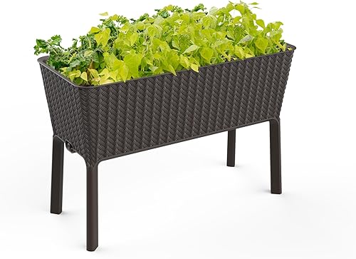 Keter Splendor - Cama de jardín elevada de 31.7 galones con maceta de riego automático y tapón de drenaje, perfecta para cultivar verduras frescas,