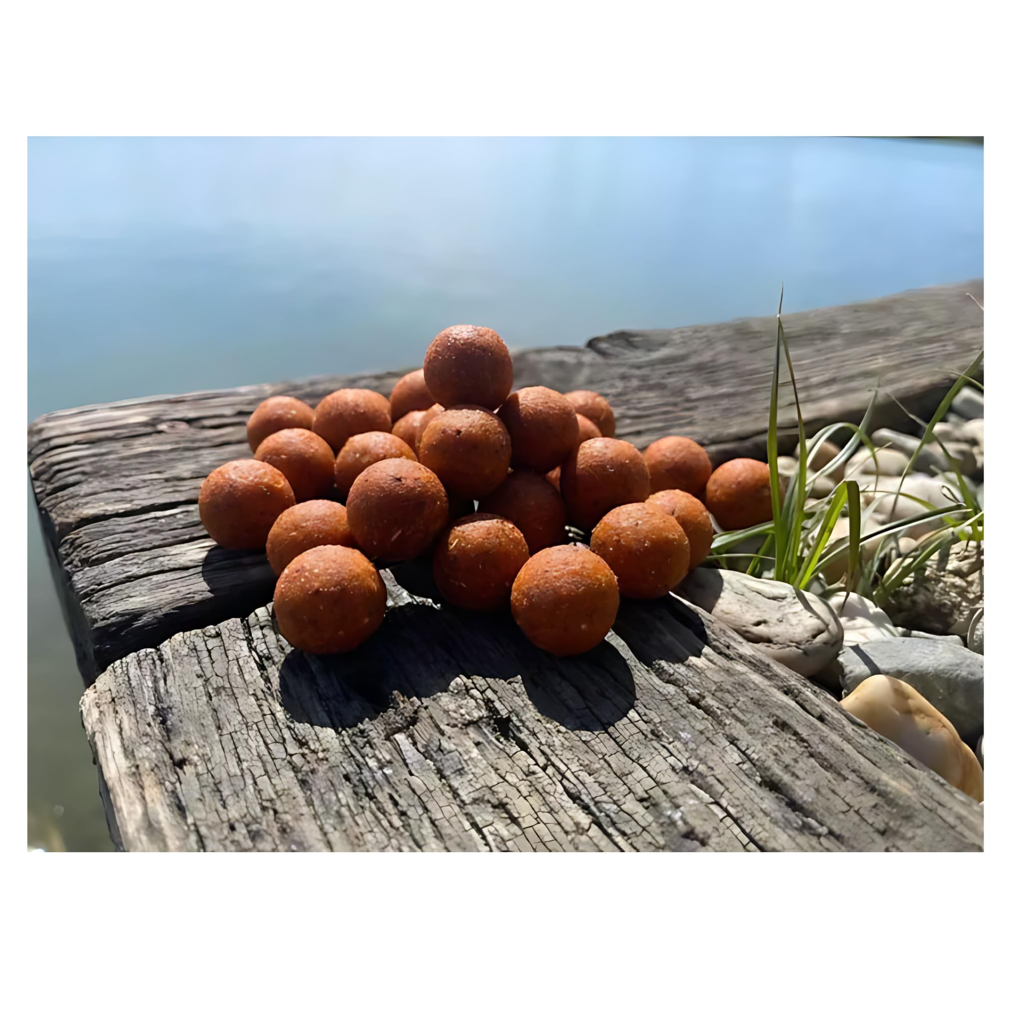MK-Angelsport Boilie - Krill 20mm 5kg - Instant Active Boilies Hochattraktive Karpfenköder mit Süß-Cremigem Scopex Aroma & Natürlichem Krill