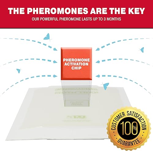 Miniatura 2 de Catchmaster Trampas para plagas y polillas de despensa, paquete de 2 unidades, mata insectos para almacenamiento de cocina y despensa, trampas