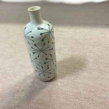 陶器製 花瓶 渤海 71BGGYFEwyL._UF350,350_QL50_.jpg