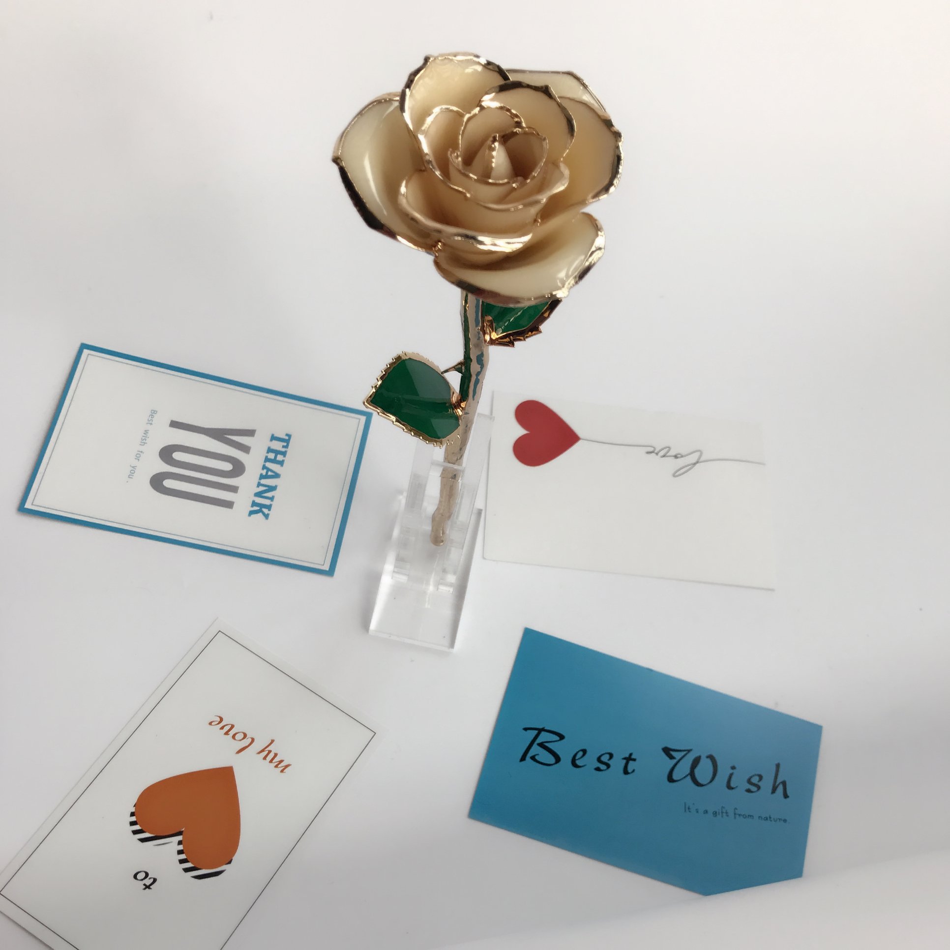 Amazon.co.jp: 母の日のギフト、EZBUY 24k金メッキバラ、永久に保管