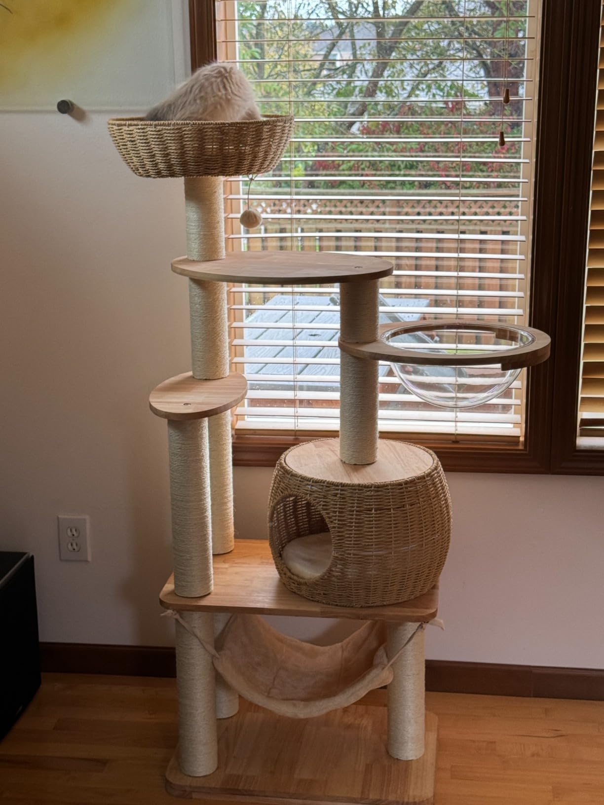 31/mo Finance 54" Modern Cat Tree Tower, Cat Tower SisalCovered