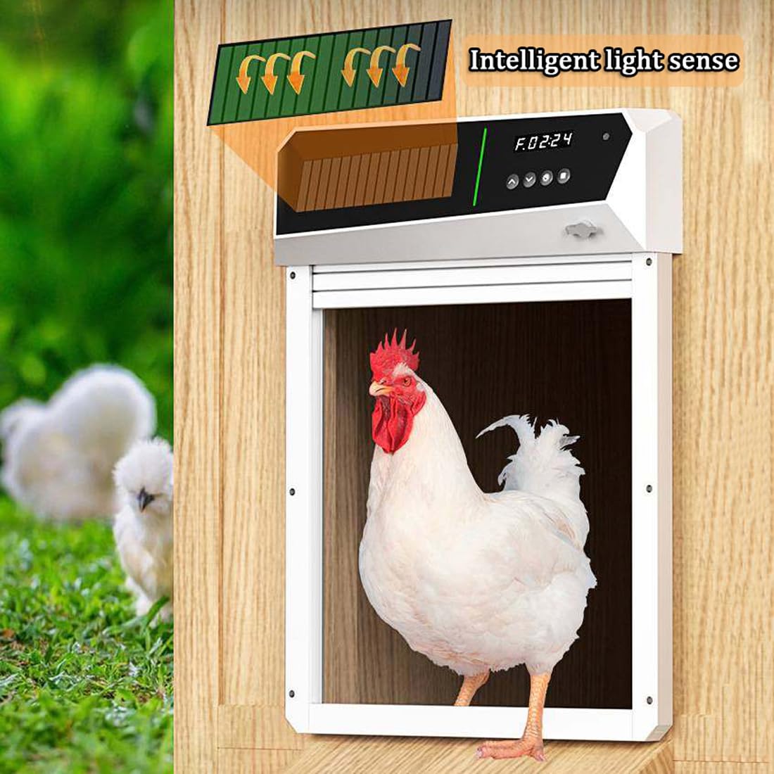 Puerta automática de gallinero con energía solar, diseño de aluminio resistente a la intemperie, temporizador, detección de luz y modos de control remoto para uso en granja y exteriores