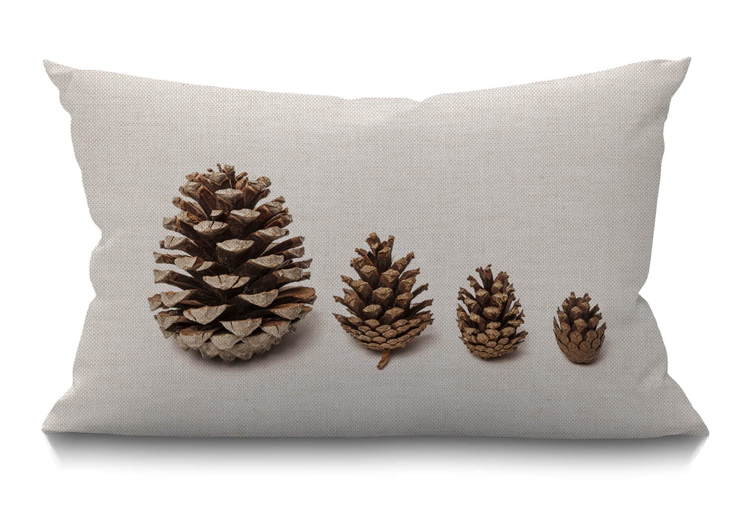 Bgbdeia Multi 358 Pinecones Lumbar Cushion Cover 30X50cm 12X20 Inch Decorative Bedroom Living Room Pine Cone Evergreen Coniferous Plant Brown Rectanglar Throw Pillow Cover For Bed Sofa Couch