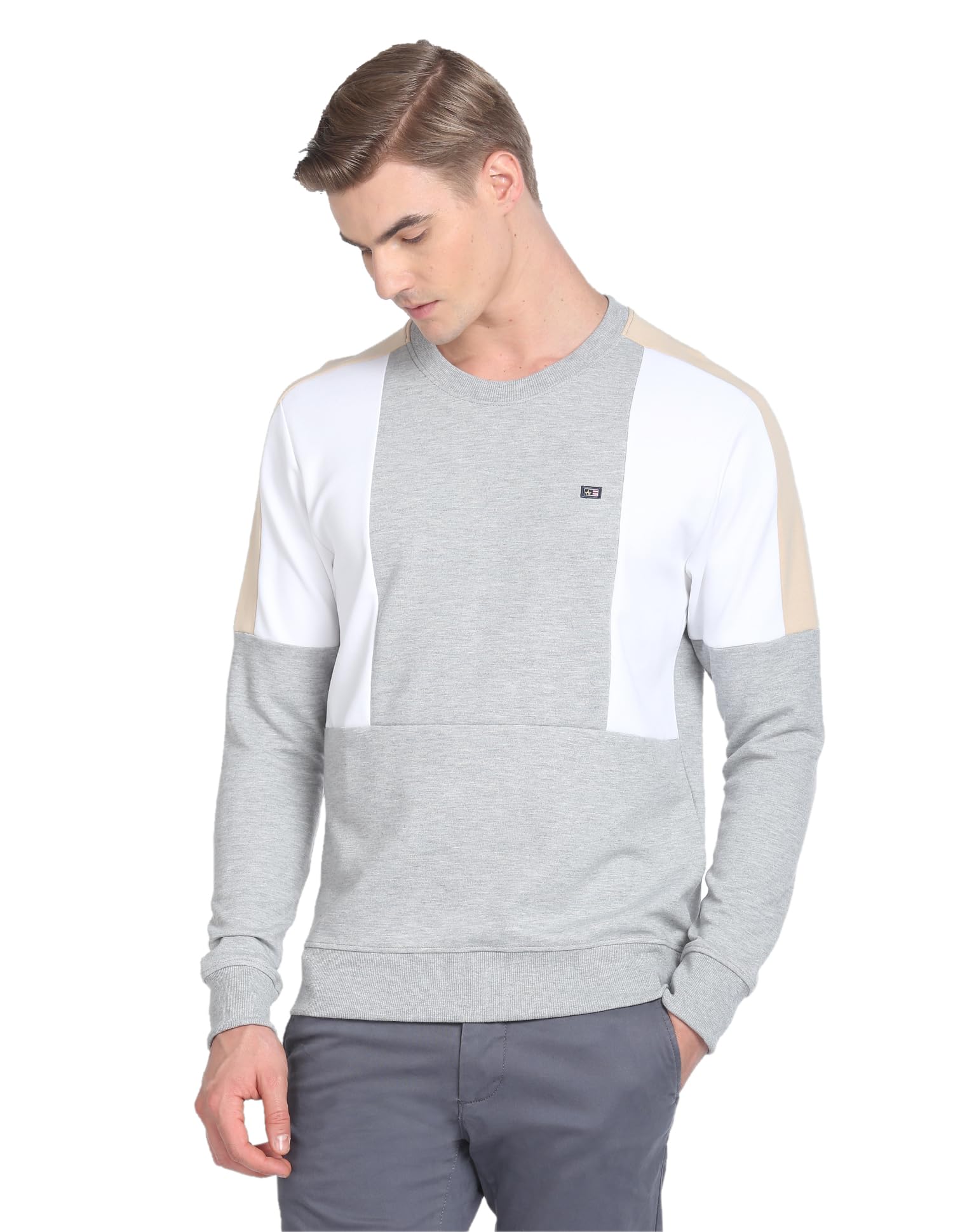 arrow Men's Cotton Round Neck Sweatshirt-picture-19