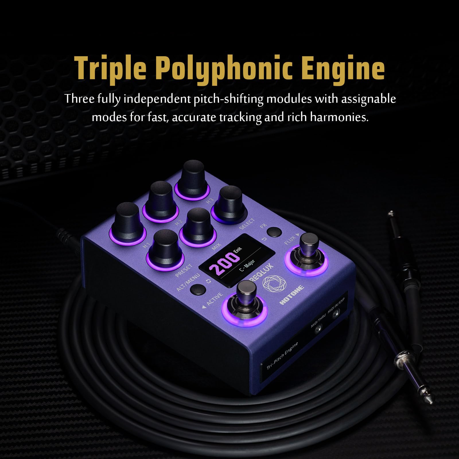 HOTONE Profesjonalny cyfrowy polifoniczny pitch shifter i inteligentny harmonizatora, 32-bitowy High Fidelity DSP, MIDI/EXP, 300 presetów Freqlux NP-200