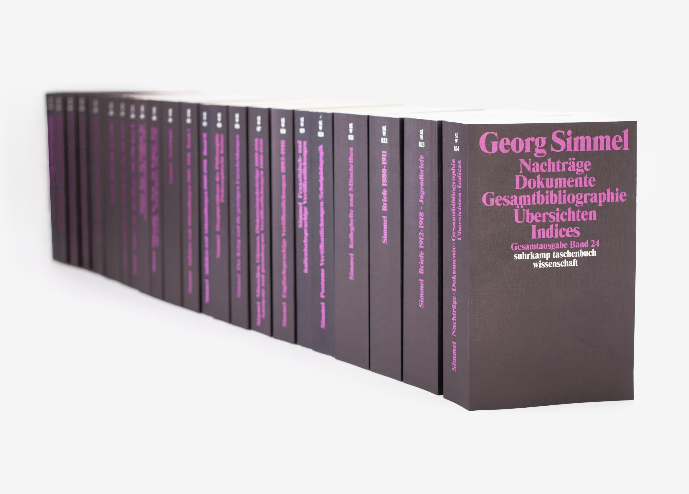 Gesamtausgabe in 24 Bänden: In Kassette (suhrkamp taschenbuch wissenschaft)