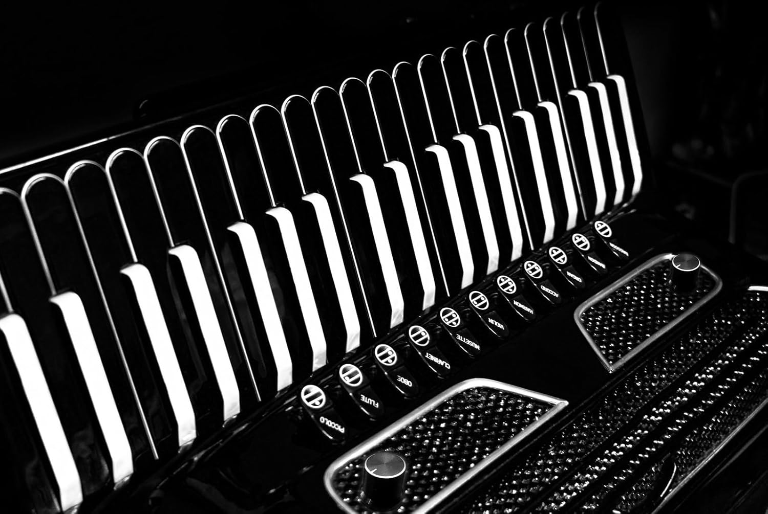 Accordion Microphone Pickup System AMP 8S with Superior Sound Quality