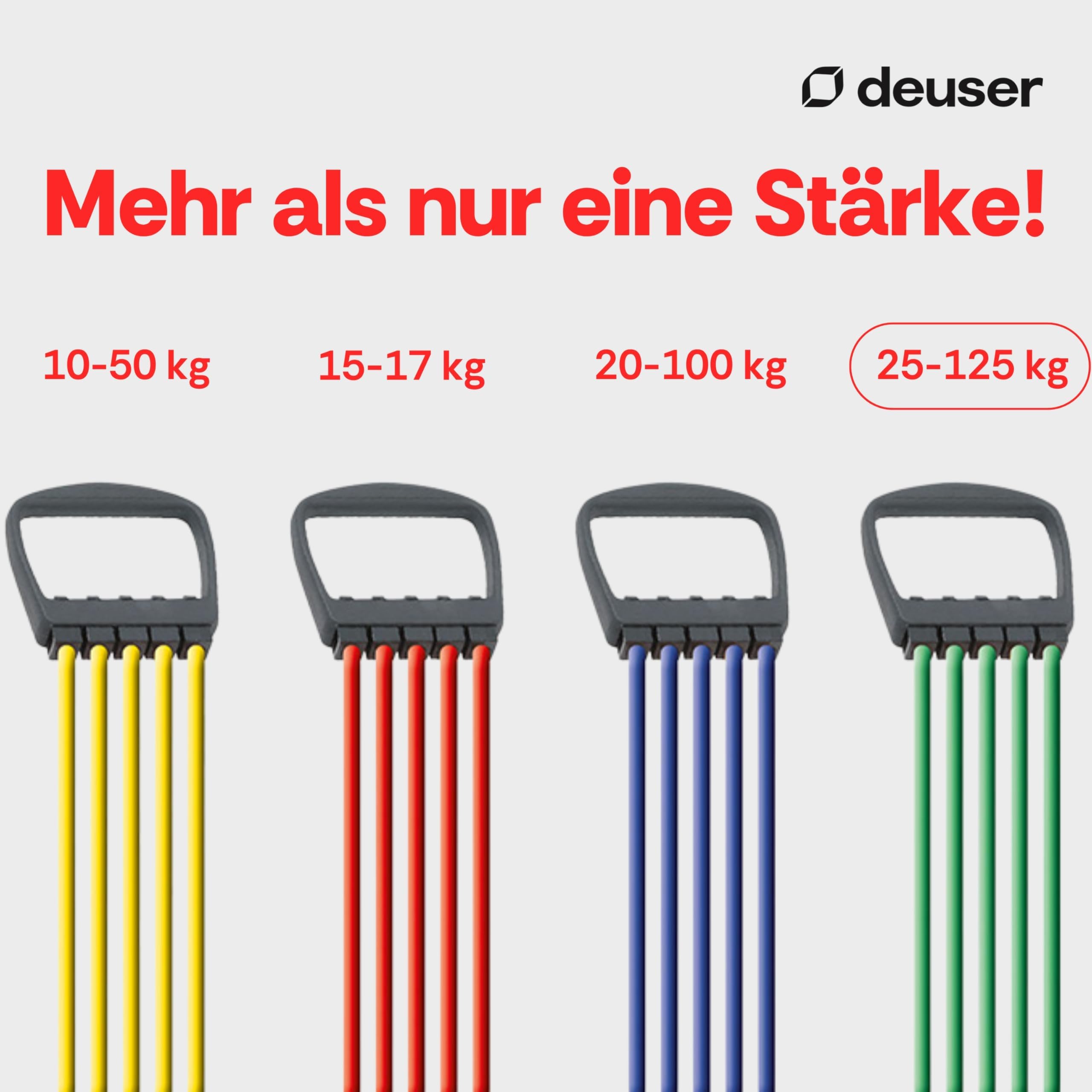 Schmidt Sports Tendeur de musculation "Elastikon Expander IV "25kg/125 kg vert