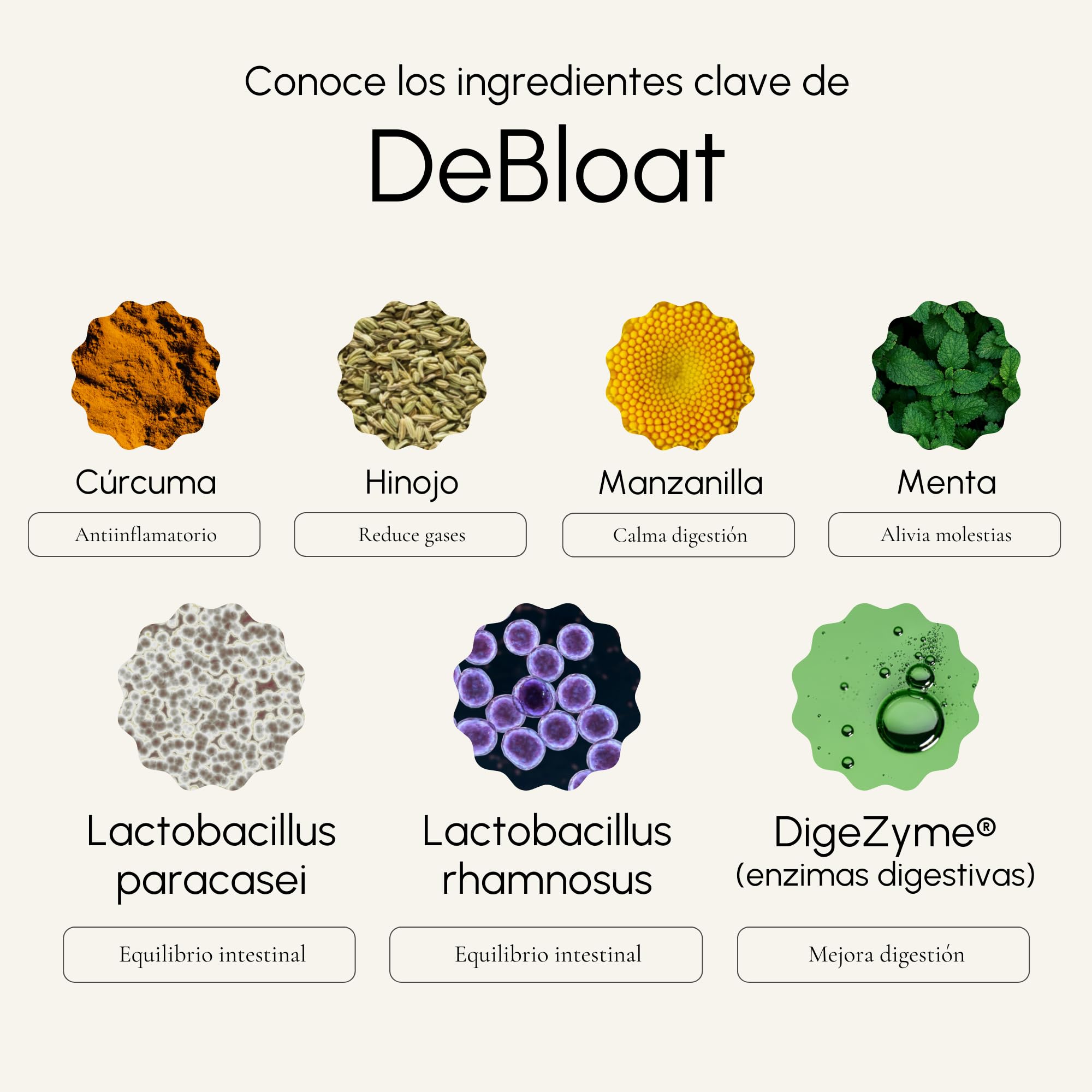 DeBloat - Digezyme Enzimas Digestivas con Probioticos Synbio Alivian Gases e Hinchazon Adultos y Mejoran la Digestion - Curcuma, Manzanilla, Menta e Hinojo - 30 Sobres
