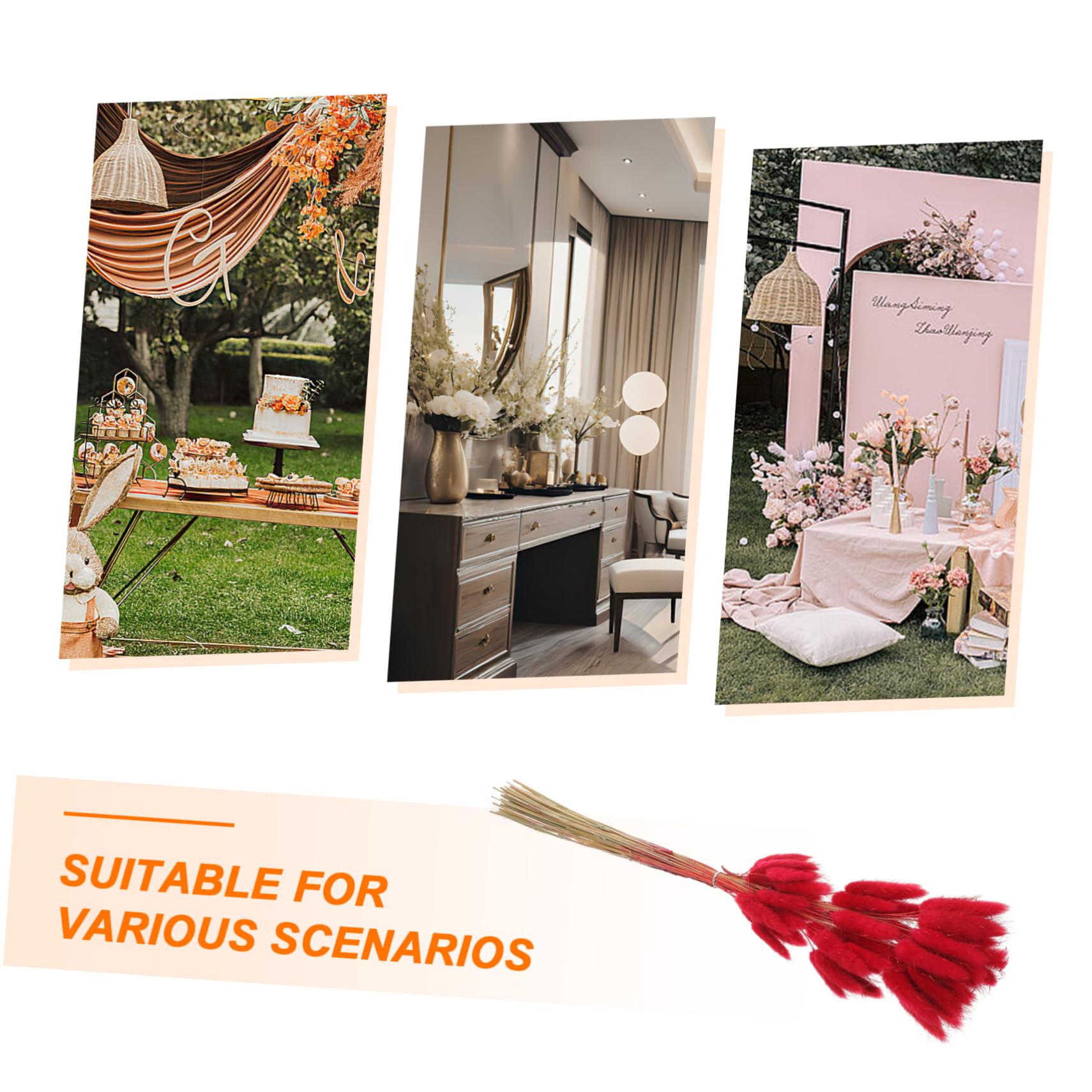 Zerodeko 240piezas De De Conejo Secas para Decoración De Bodas y Arreglo Floral