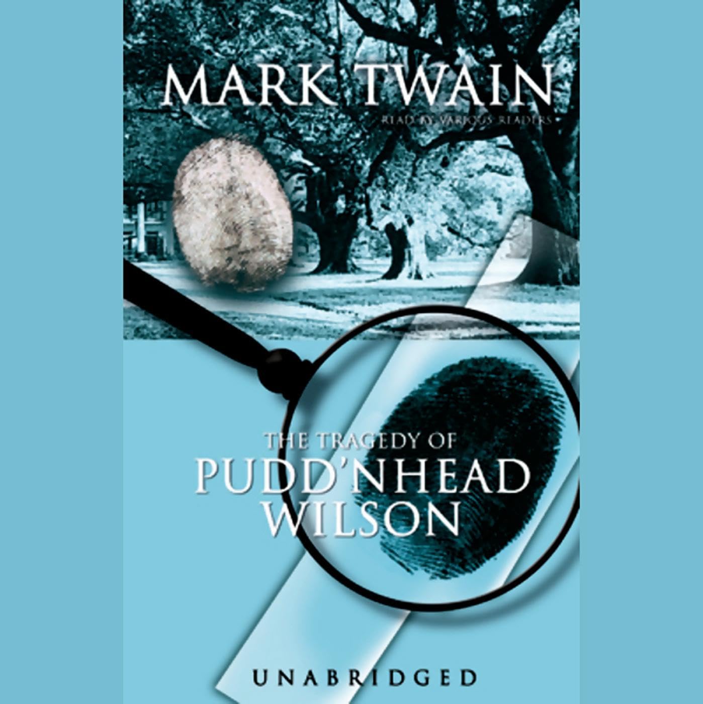 Cover art for The Tragedy of Pudd'nhead Wilson
