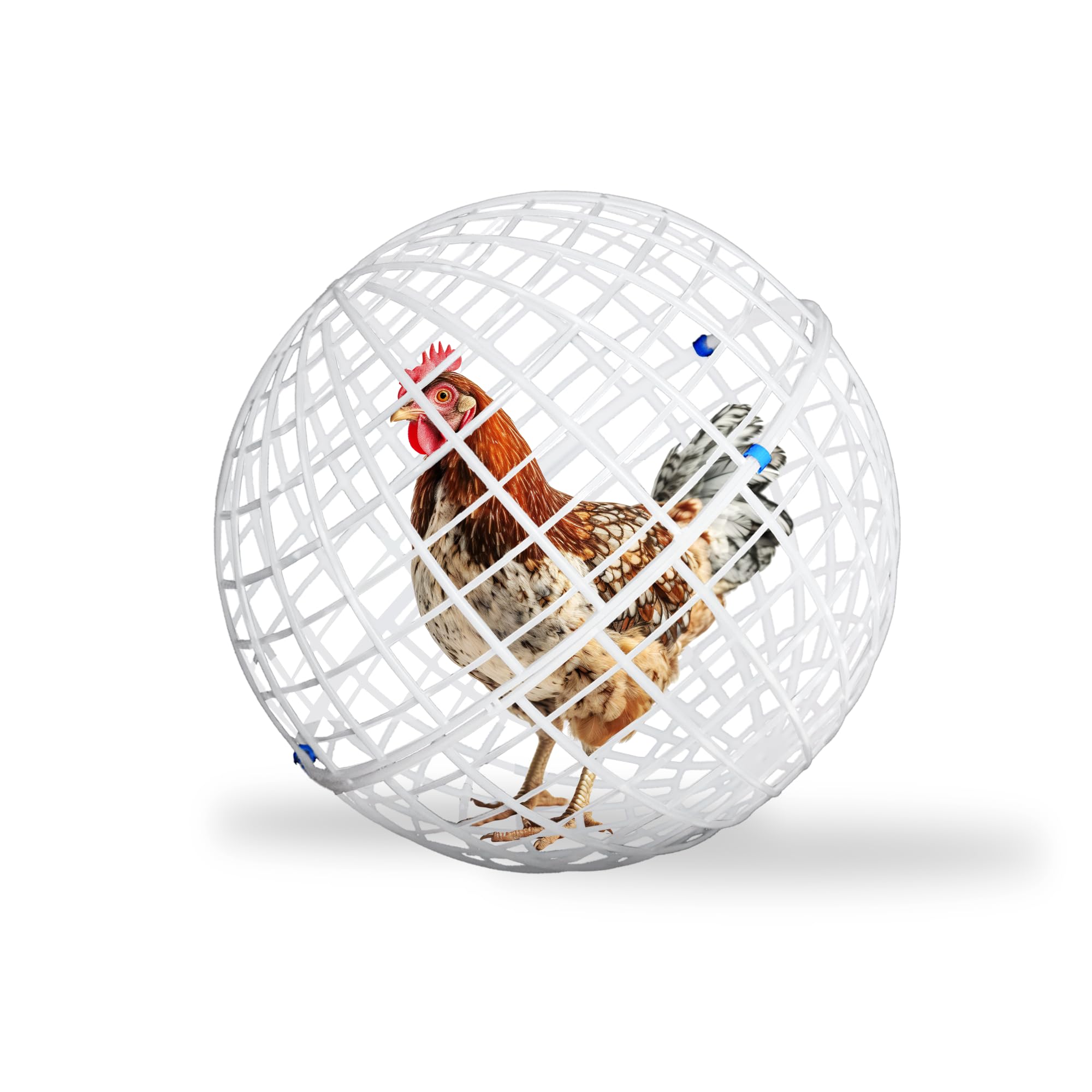 Rolling Hen Orb Cage 19" - Spherical Chicken Enclosure for Garden Safety, Predator-Proof, Flower Protection, No Fence Crossing