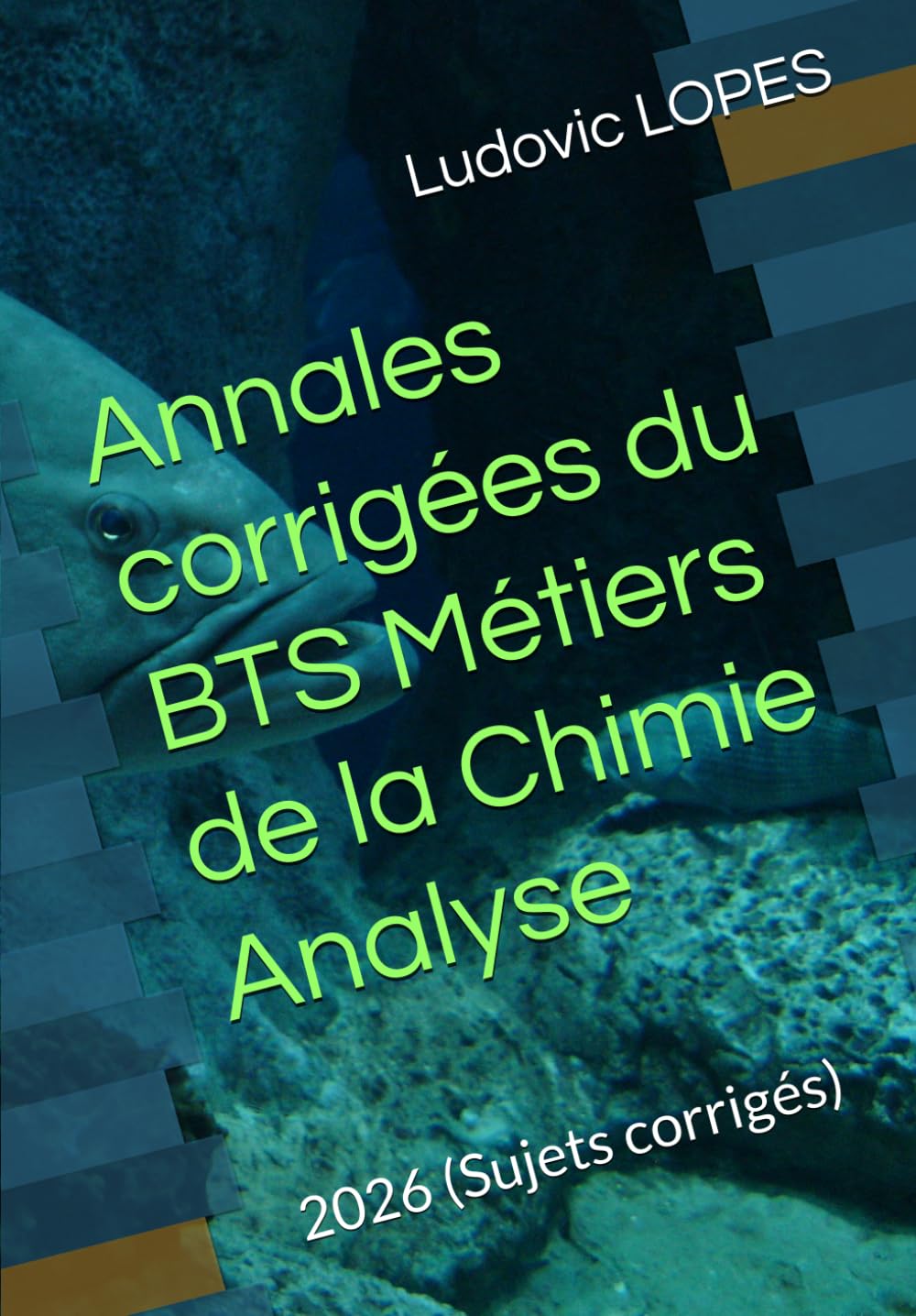 Annales corrigées du BTS Métiers de la Chimie : Analyse: 2026 (Sujets corrigés)