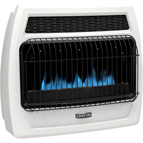Dyna-Glo BFSS30NGT-4N 30,000 BTU Natural Gas Blue Flame Thermostatic Vent Free Wall Heater, White