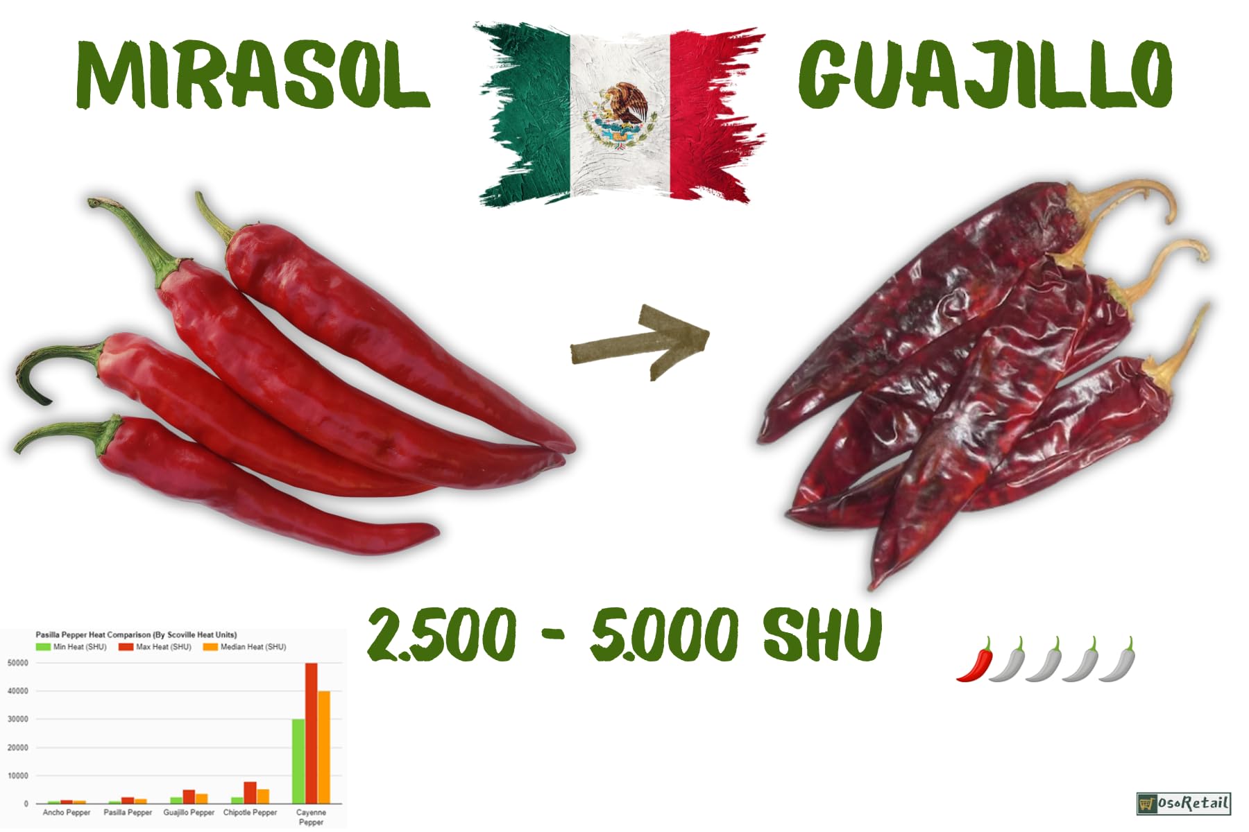 OsoRetail Pack 4x100g Chiles Secos de México | Pack 4 Chiles Gourmet (Ancho, Guajillo, Árbol, Pasilla) | 4 × 100 g | Ideal para Moles y Salsas Artesanales