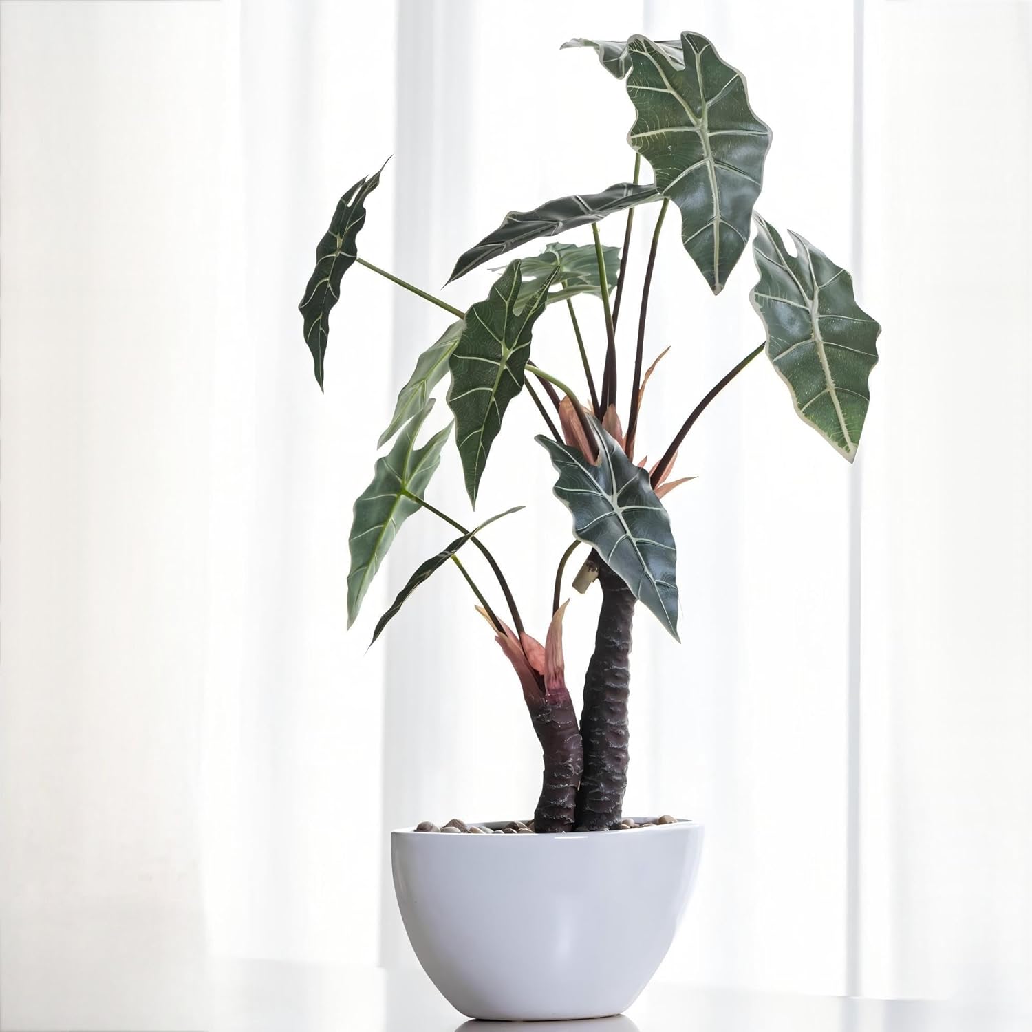 Artificial Alocasia Plant – 21.6” Tall Faux Plant in White Ceramic Pot with Pebbles – Realistic Fake Potted Plant for Home, Office, Boho, Modern, Minimalist & Japanese Decor(White)