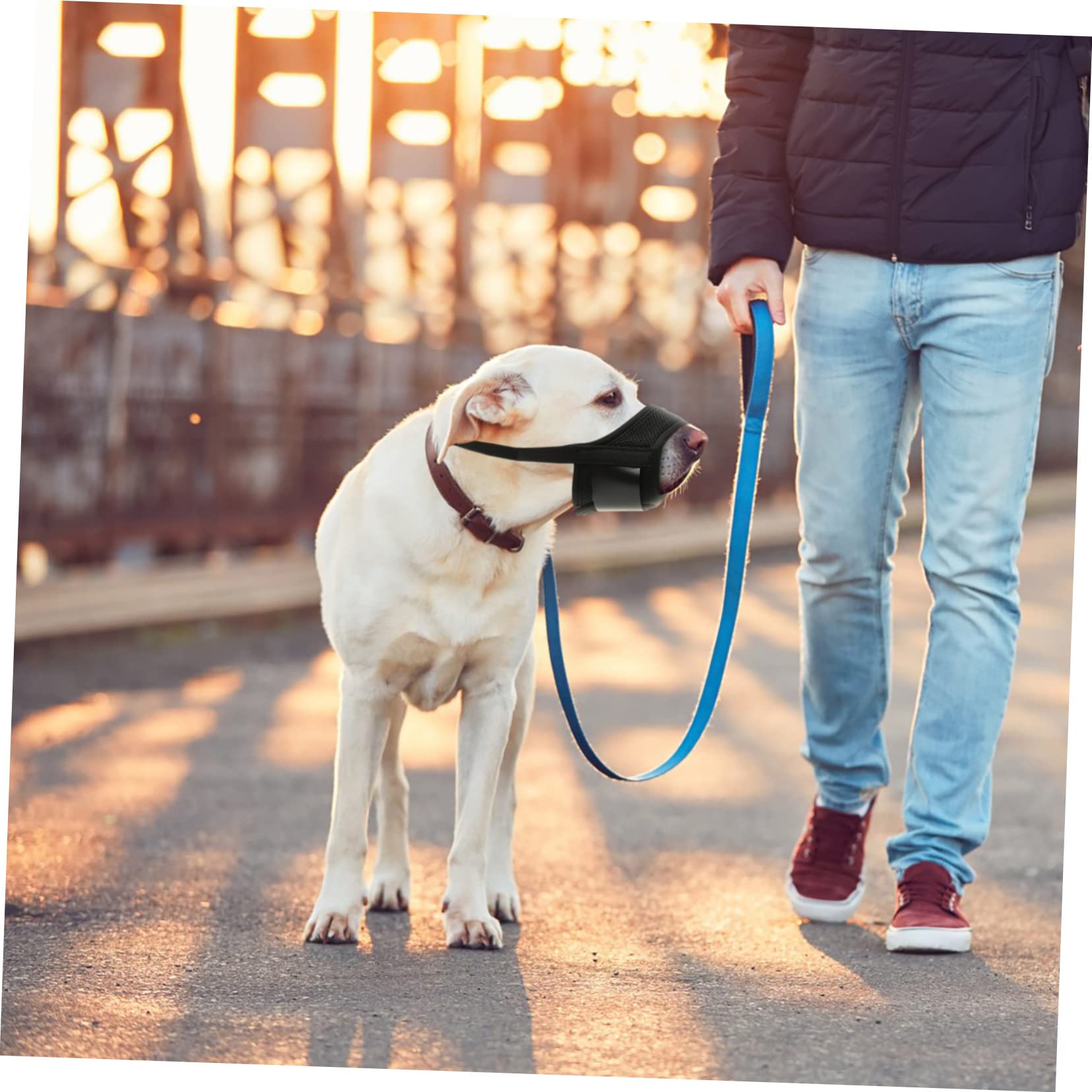 Beaupretty 5pièces Muselière Confortable pour Chien Respirante Anti-Morsure Et Anti-braiment Ajustable pour Chien
