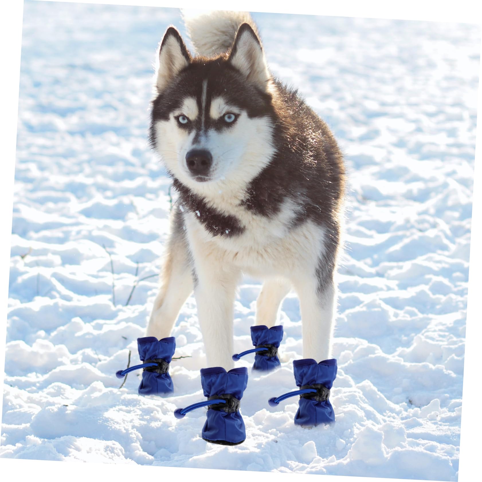 SUPVOX 9 Set Stivali per Cani da Compagnia Puppy pupphub Calzini Invernali per Animali Domestici Scarpe da Cucciolo Resistenti all'Acqua Stivali da Pioggia Scarpe per Animali Domestici