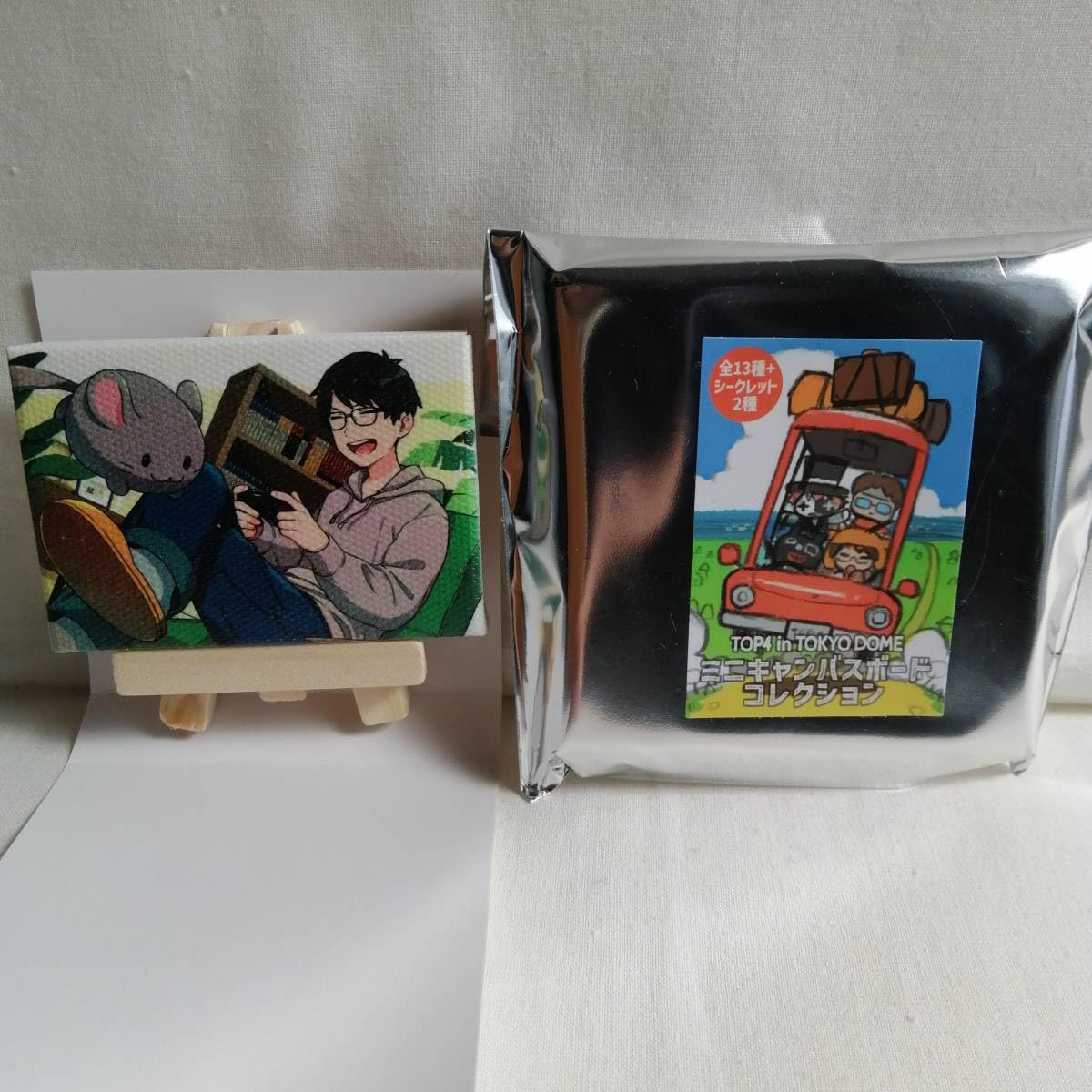 TOP4 キャンバスボート TOP4 キャンバスボート